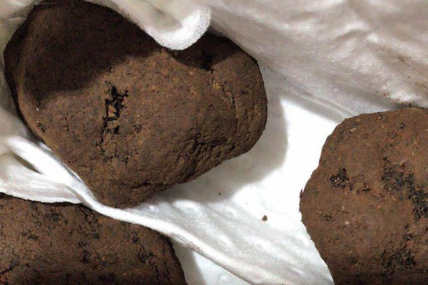 松露在山東有出產(chǎn)嗎