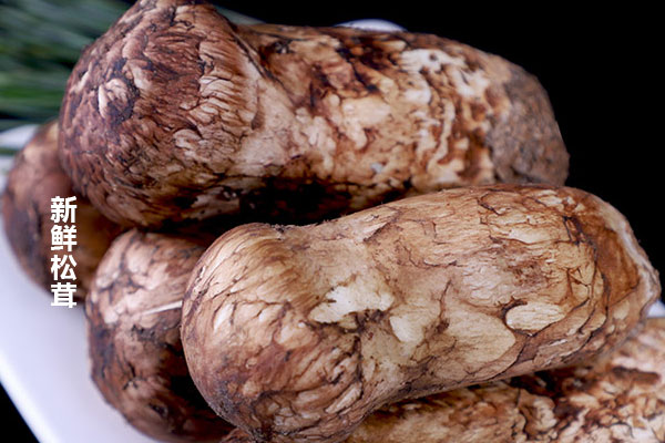 鮑魚和松茸煮粥的食用禁忌