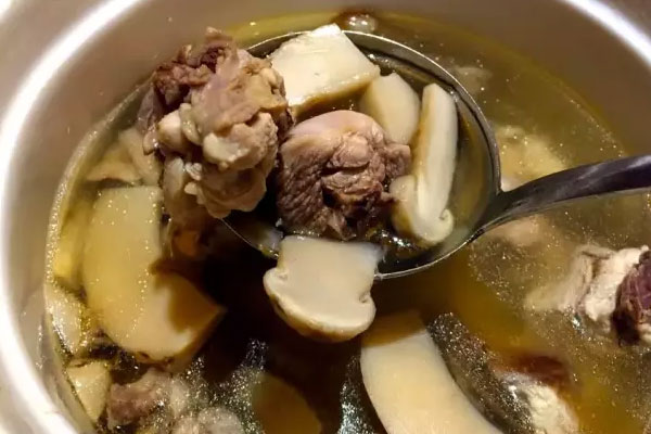 松茸雞湯小孩可以喝嗎