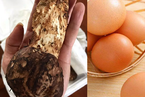 松茸可以和雞蛋一起吃嗎