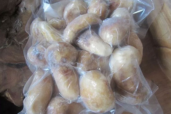 新鮮松茸可以用太陽(yáng)曬干嗎