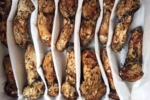 干松茸和新鮮松茸有哪些區(qū)別