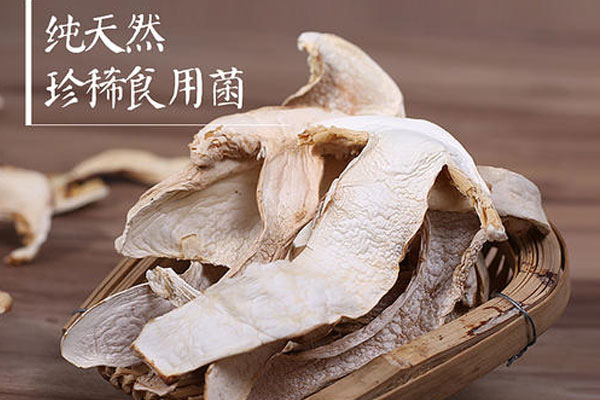 為什么新鮮松茸比干松茸好