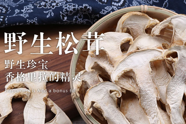 松茸干片放了兩年還能吃嗎