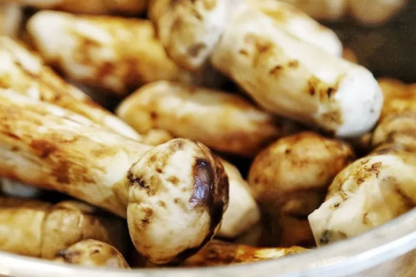 新鮮松茸炒臘肉的做法步驟