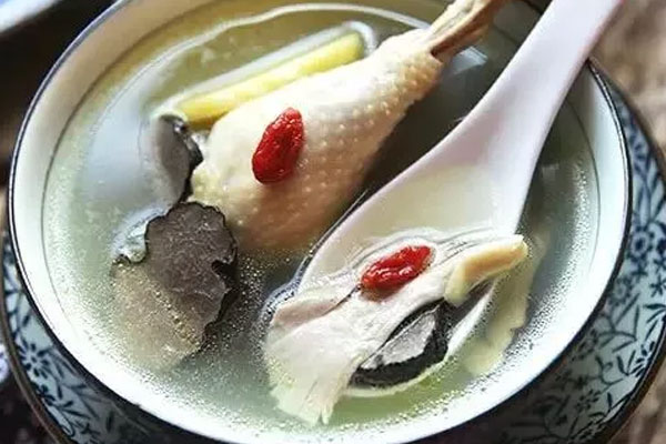 月子期間可以吃黑松露燉雞湯嗎