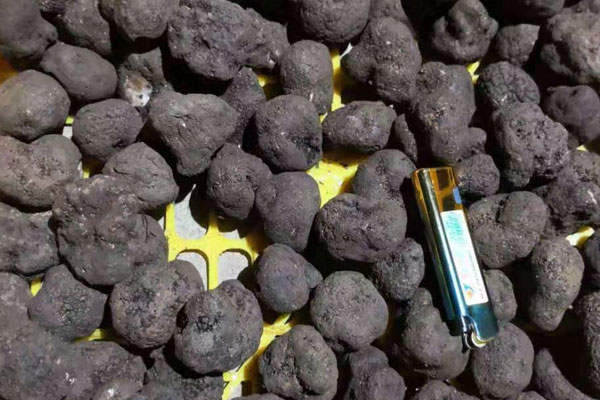 新鮮、干品、冰凍黑松露哪個好