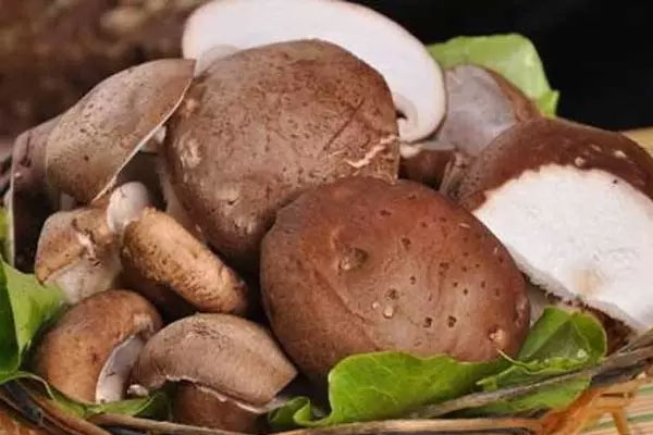 黑松露香菇蒸蛋有哪些好處