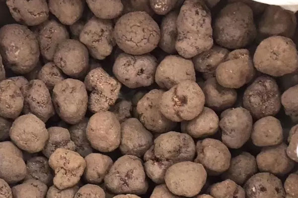 花椰菜黑松露湯的營(yíng)養(yǎng)價(jià)值和功效作用