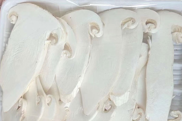 松茸天天吃對身體有害嗎