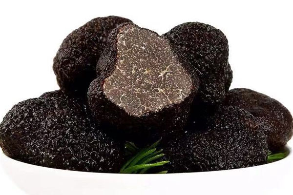 廣州新鮮黑松露價格