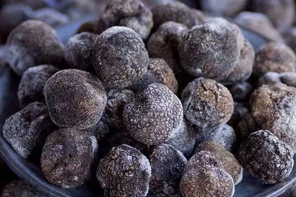 廣州冰凍黑松露價格