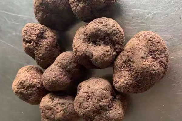 北京新鮮黑松露價(jià)格