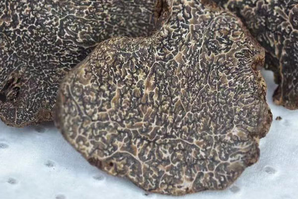 北京干片黑松露價(jià)格