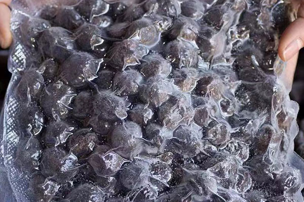 上海冰凍黑松露價(jià)格