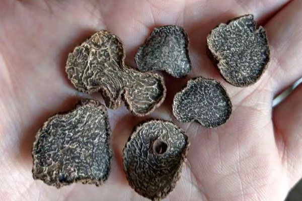 上海干片黑松露價(jià)格