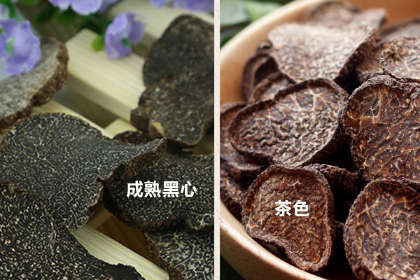 黑松露干片哪樣品質(zhì)好
