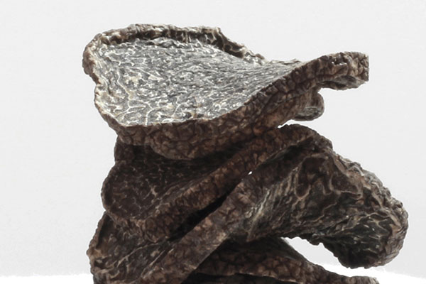 黑松露干片保質(zhì)期一般是多久