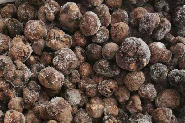 深圳冰凍黑松露價格