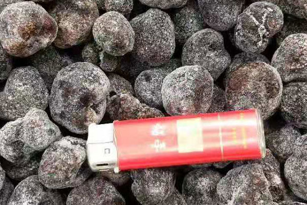 成都冰凍黑松露價格