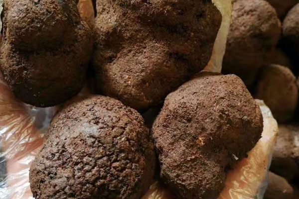 沈陽新鮮黑松露價(jià)格