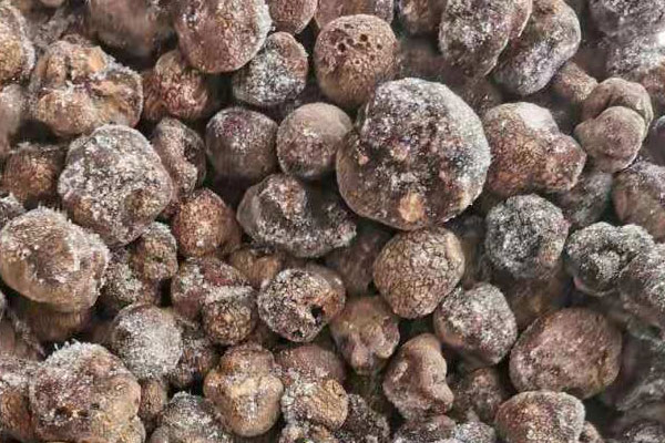 沈陽冰凍黑松露價(jià)格