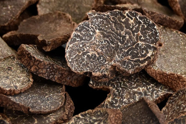 濟南干片黑松露價格