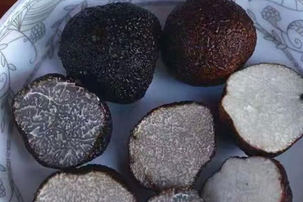 重慶新鮮黑松露價(jià)格