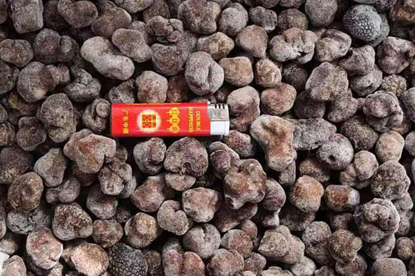 長沙冰凍黑松露價(jià)格