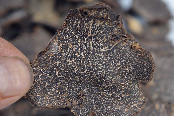 長沙干片黑松露價(jià)格