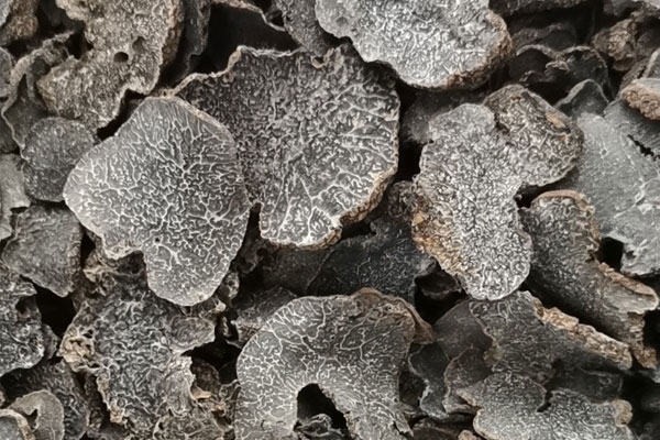 武漢干片黑松露價格