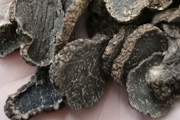 大連干片黑松露價格