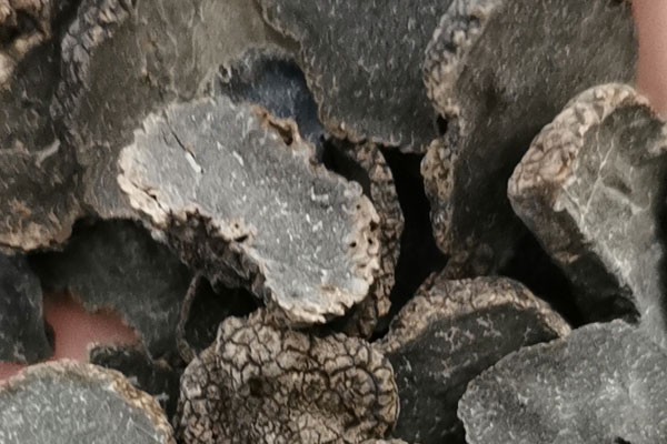 黑松露壞了是怎樣的