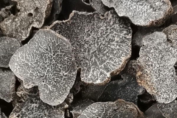 南京干片黑松露價格