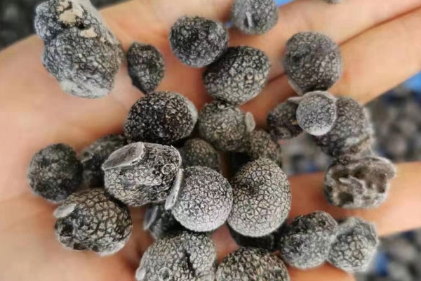 南京冰凍黑松露價格