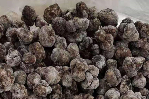 天津冰凍黑松露價(jià)格