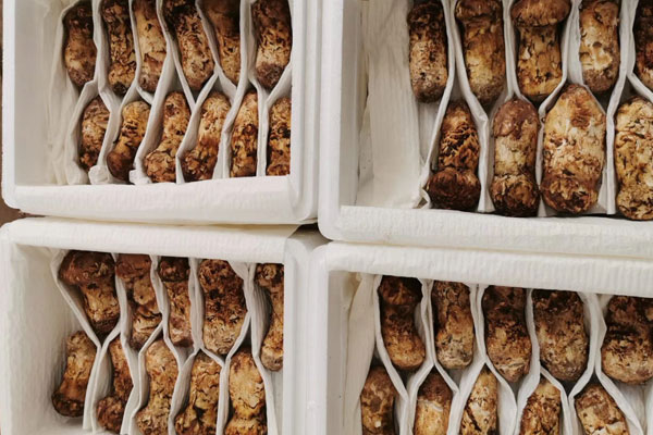 新鮮松茸怎么吃最好抗癌