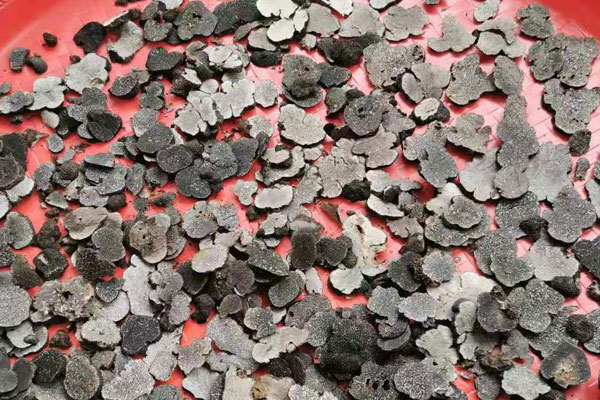 西安干片黑松露價格