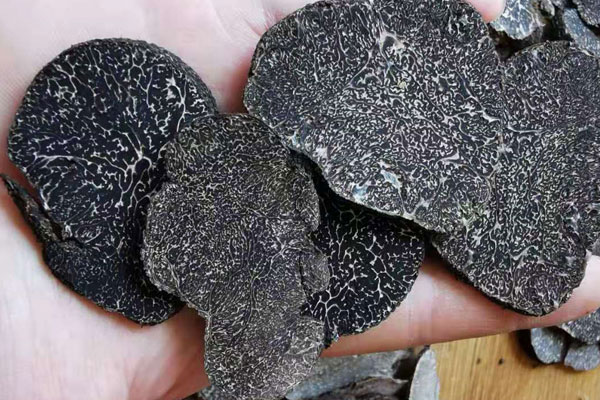 蘇州黑松露價(jià)格多少錢一斤，蘇州哪里有黑松露賣