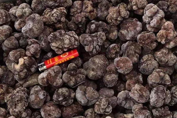 蘇州冰凍黑松露價(jià)格