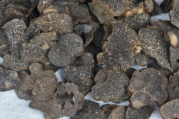 無錫干片黑松露價格