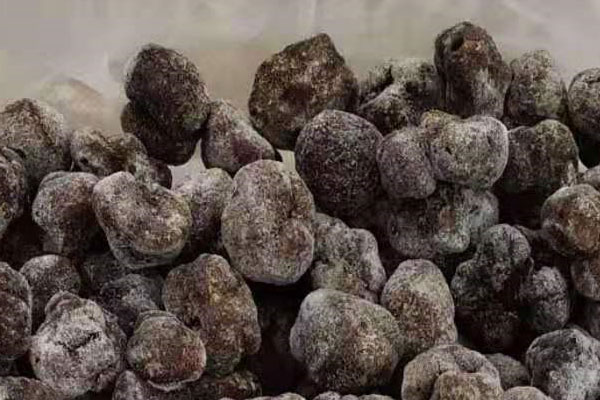 無錫冰凍黑松露價格