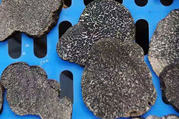 法國(guó)新鮮黑松露如何挑選