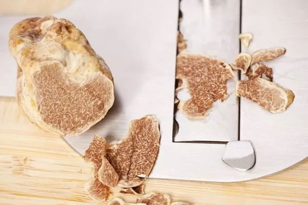 意大利新鮮白松露價(jià)格