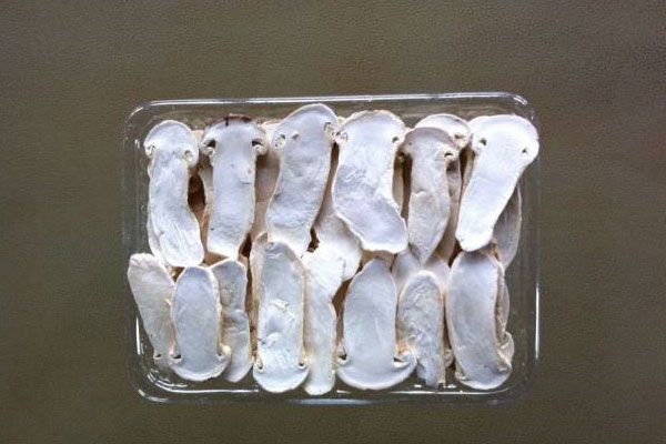 南京冰凍松茸價(jià)格