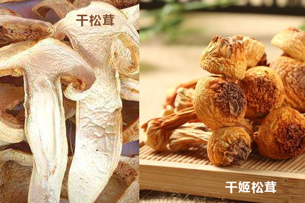 姬松茸和松茸哪個(gè)的營養(yǎng)價(jià)值更高