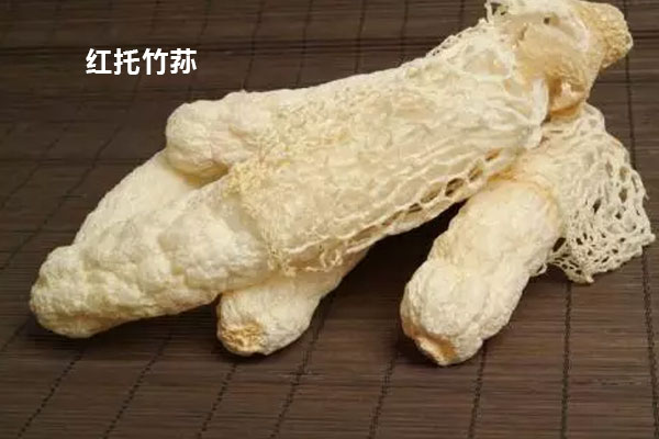 松茸和竹蓀哪個(gè)好吃