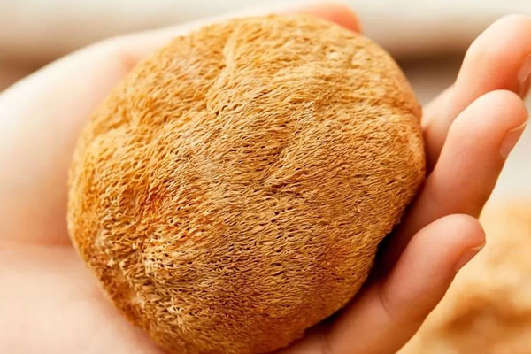 猴頭菇和松茸哪個(gè)營養(yǎng)價(jià)值高