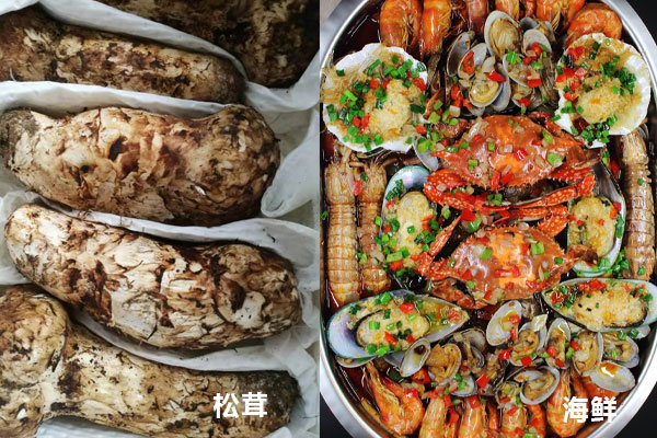 松茸和海鮮可以一起吃嗎