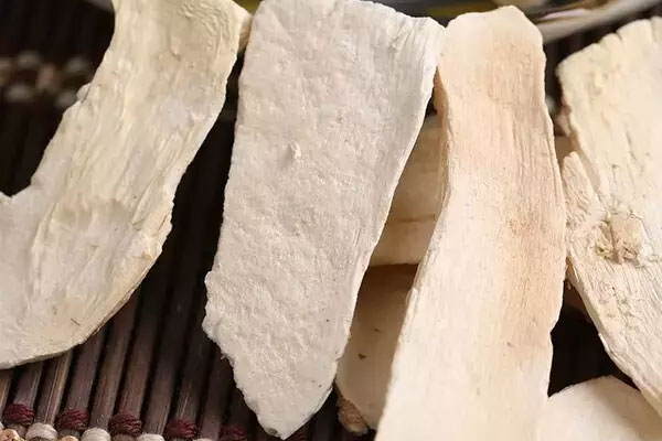 干松茸有哪些種類